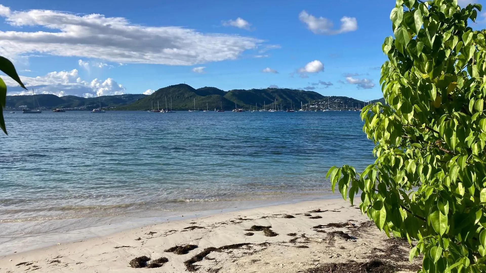 Appartement Belfond-Tropical à Sainte-Anne